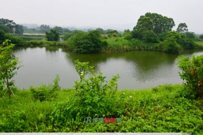 大杨树奎勒河国家湿地公园