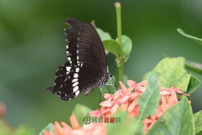 沙河口区中小<a href=/wiki/XueSheng/ target=_blank class=infotextkey>学生</a>科技中心