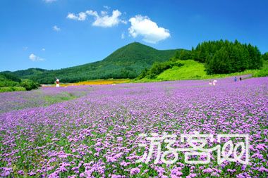 岗山风景区