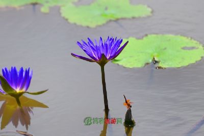 长寿湖风景区