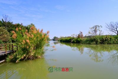 老河口西排子湖国家湿地公园