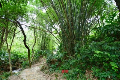 玉泉寺国家森林公园