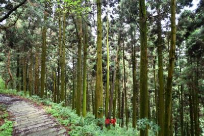 广西烟霞山风景区