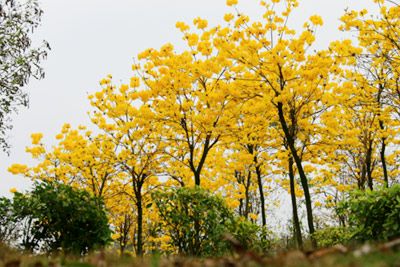 南宁市江南公园