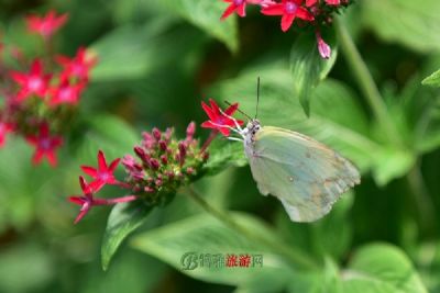 明解元宾继学墓