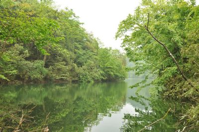 宽阔水水库